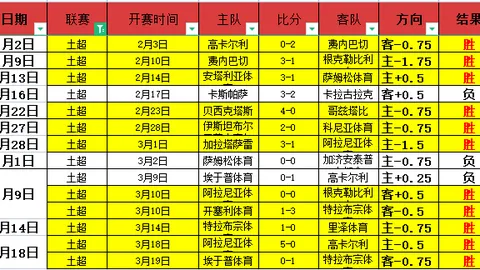 “魔术力克猛龙，NBA常规赛惜败一役”