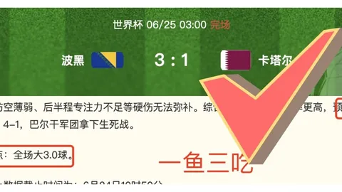阿联酋足协特邀顾问伊万科维奇点赞：中国足球发展路线精准无误